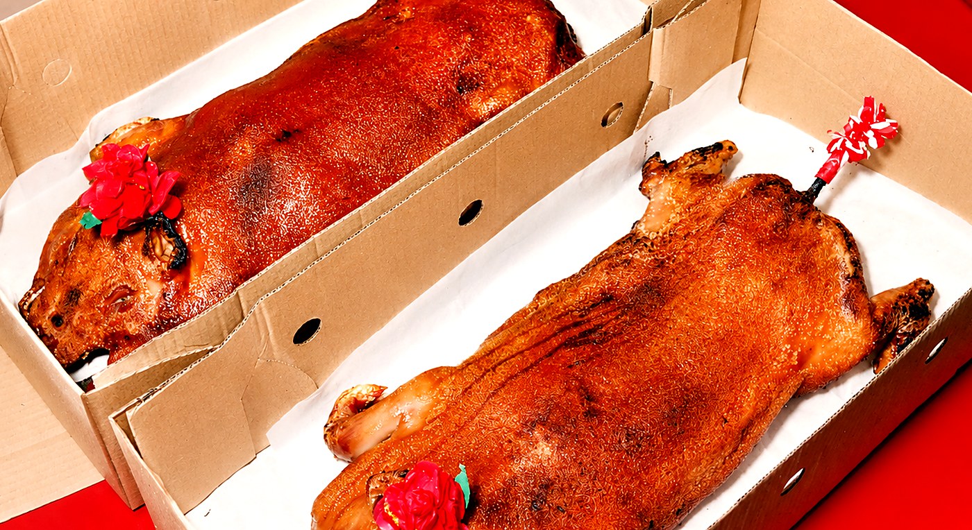Two Guan Chee roasted suckling pigs, boxed for collection